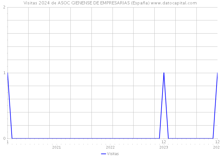 Visitas 2024 de ASOC GIENENSE DE EMPRESARIAS (España) 