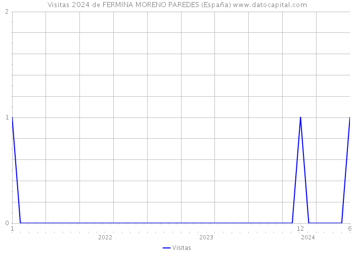 Visitas 2024 de FERMINA MORENO PAREDES (España) 
