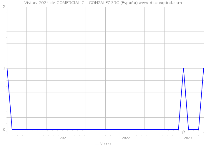 Visitas 2024 de COMERCIAL GIL GONZALEZ SRC (España) 