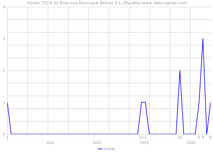 Visitas 2024 de Empresa Municipal Bellver S.L. (España) 