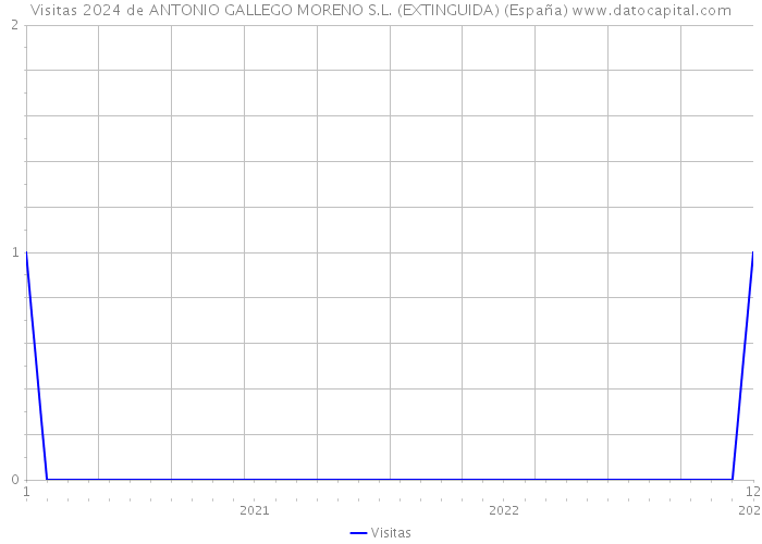Visitas 2024 de ANTONIO GALLEGO MORENO S.L. (EXTINGUIDA) (España) 