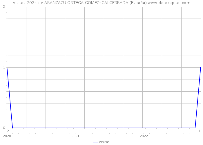 Visitas 2024 de ARANZAZU ORTEGA GOMEZ-CALCERRADA (España) 