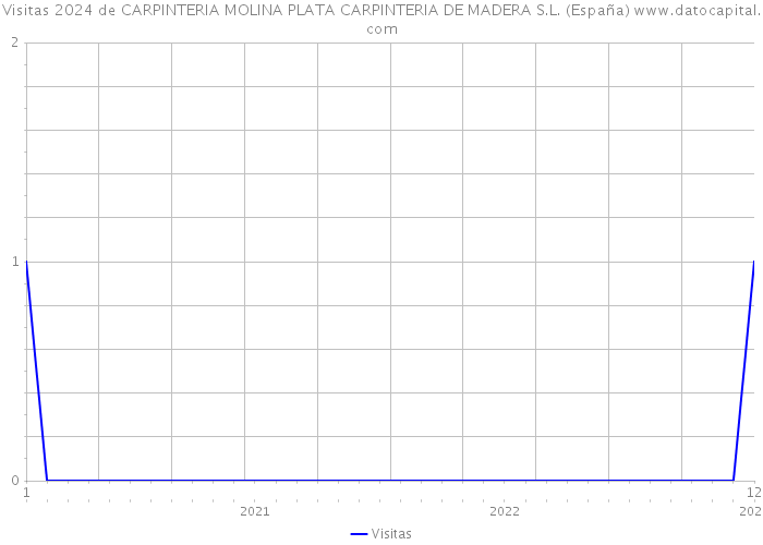 Visitas 2024 de CARPINTERIA MOLINA PLATA CARPINTERIA DE MADERA S.L. (España) 