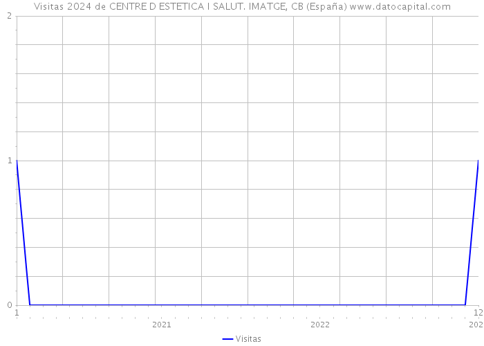 Visitas 2024 de CENTRE D ESTETICA I SALUT. IMATGE, CB (España) 