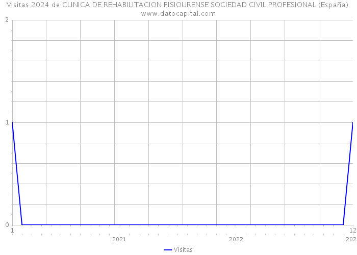 Visitas 2024 de CLINICA DE REHABILITACION FISIOURENSE SOCIEDAD CIVIL PROFESIONAL (España) 