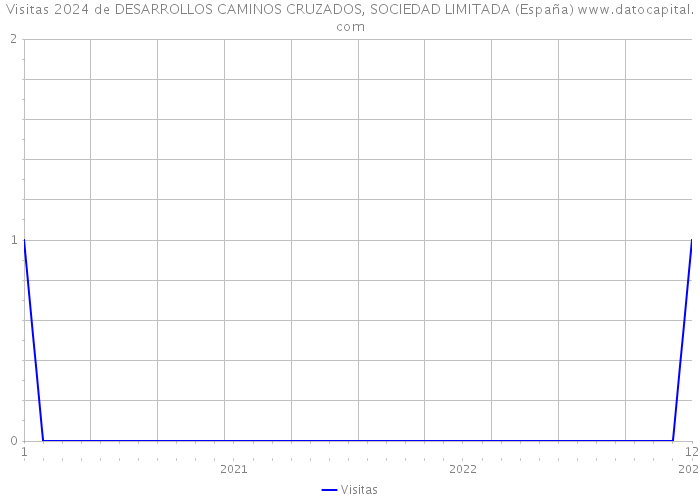 Visitas 2024 de DESARROLLOS CAMINOS CRUZADOS, SOCIEDAD LIMITADA (España) 