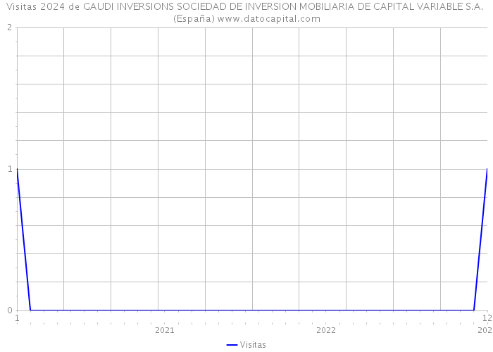 Visitas 2024 de GAUDI INVERSIONS SOCIEDAD DE INVERSION MOBILIARIA DE CAPITAL VARIABLE S.A. (España) 