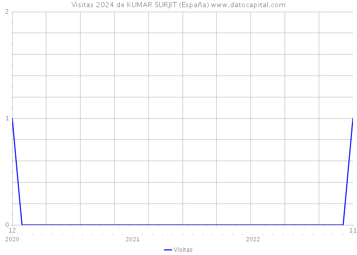 Visitas 2024 de KUMAR SURJIT (España) 