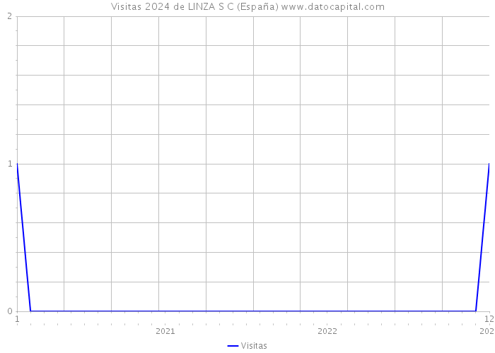 Visitas 2024 de LINZA S C (España) 