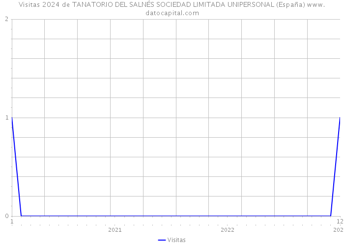 Visitas 2024 de TANATORIO DEL SALNÉS SOCIEDAD LIMITADA UNIPERSONAL (España) 