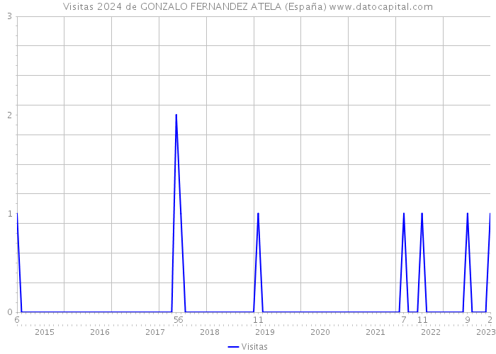 Visitas 2024 de GONZALO FERNANDEZ ATELA (España) 