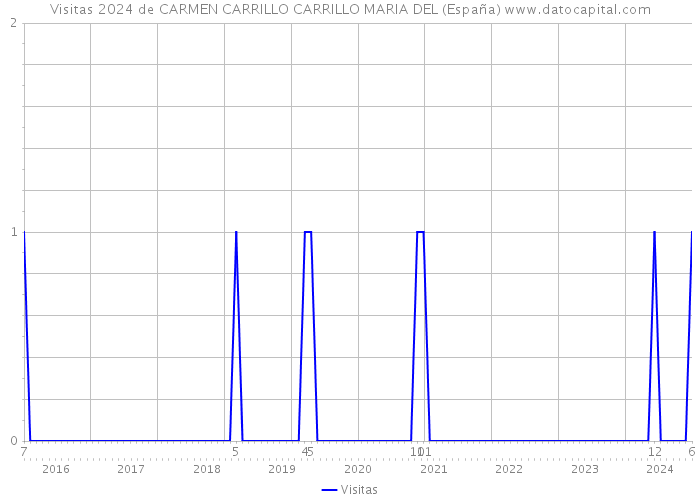 Visitas 2024 de CARMEN CARRILLO CARRILLO MARIA DEL (España) 