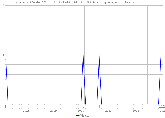 Visitas 2024 de PROTECCION LABORAL CORDOBA SL (España) 