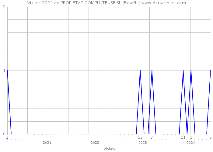 Visitas 2024 de PROPIETAS COMPLUTENSE SL (España) 