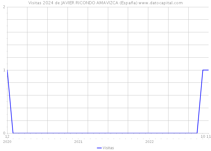 Visitas 2024 de JAVIER RICONDO AMAVIZCA (España) 