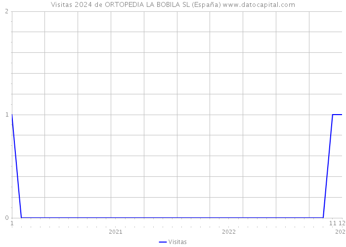 Visitas 2024 de ORTOPEDIA LA BOBILA SL (España) 