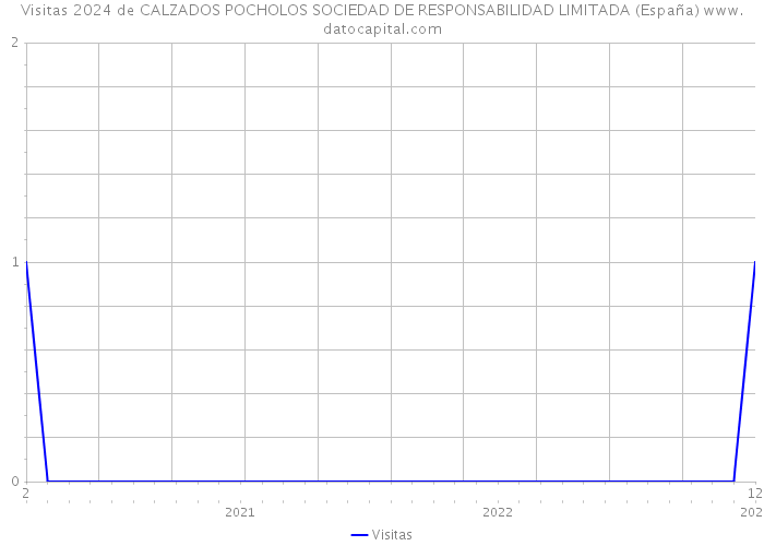 Visitas 2024 de CALZADOS POCHOLOS SOCIEDAD DE RESPONSABILIDAD LIMITADA (España) 