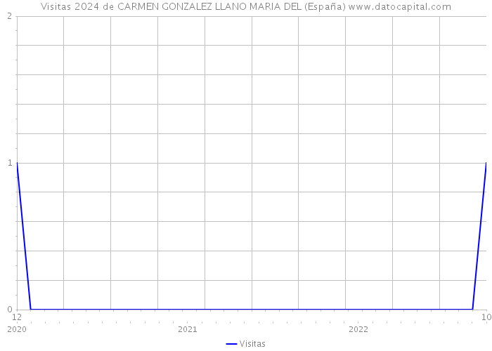 Visitas 2024 de CARMEN GONZALEZ LLANO MARIA DEL (España) 