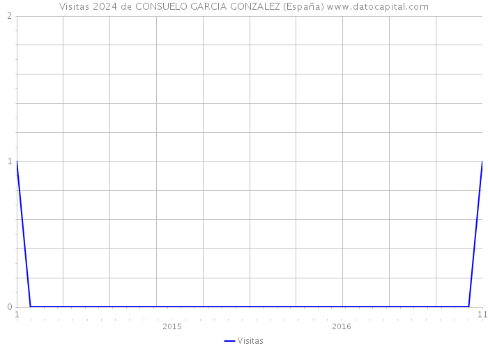 Visitas 2024 de CONSUELO GARCIA GONZALEZ (España) 