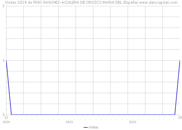 Visitas 2024 de PINO SANCHEZ-AGUILERA DE OROZCO MARIA DEL (España) 