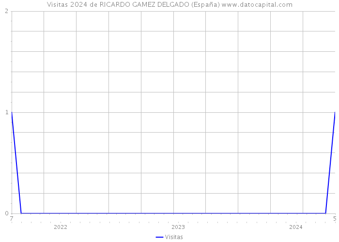 Visitas 2024 de RICARDO GAMEZ DELGADO (España) 