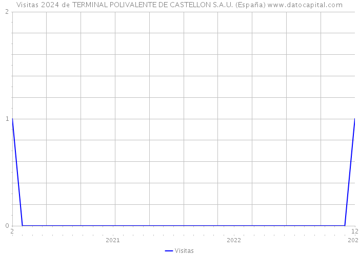 Visitas 2024 de TERMINAL POLIVALENTE DE CASTELLON S.A.U. (España) 
