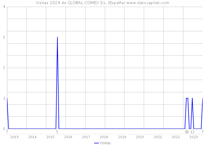 Visitas 2024 de GLOBAL COMEX S.L. (España) 