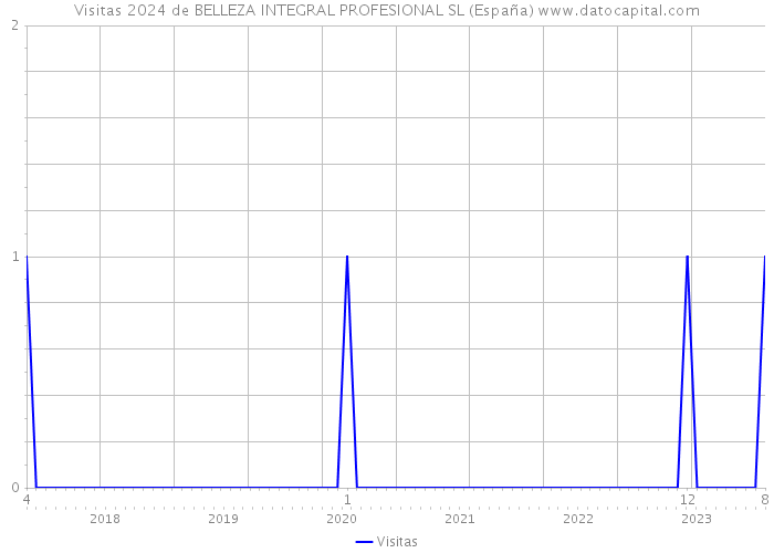 Visitas 2024 de BELLEZA INTEGRAL PROFESIONAL SL (España) 