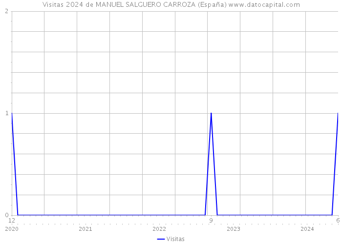 Visitas 2024 de MANUEL SALGUERO CARROZA (España) 