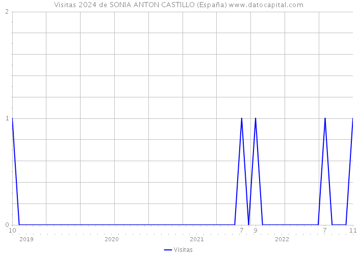 Visitas 2024 de SONIA ANTON CASTILLO (España) 