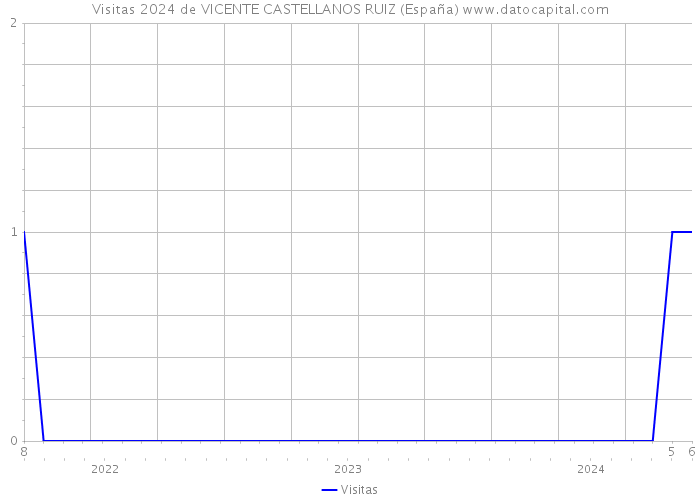 Visitas 2024 de VICENTE CASTELLANOS RUIZ (España) 