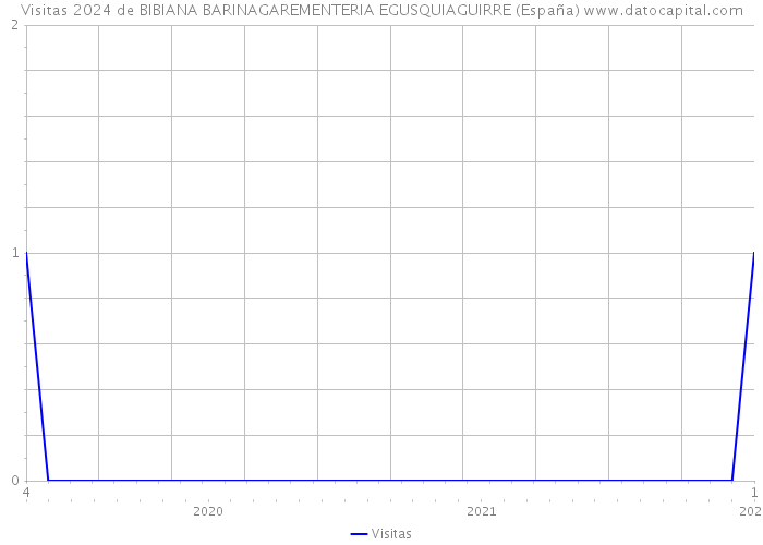 Visitas 2024 de BIBIANA BARINAGAREMENTERIA EGUSQUIAGUIRRE (España) 