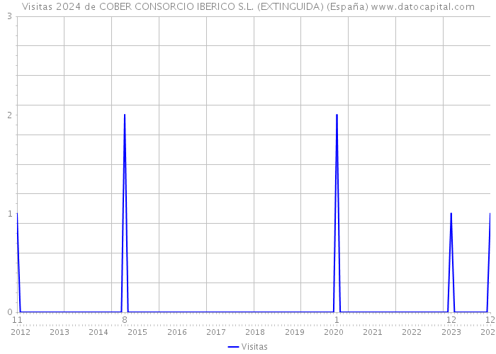 Visitas 2024 de COBER CONSORCIO IBERICO S.L. (EXTINGUIDA) (España) 