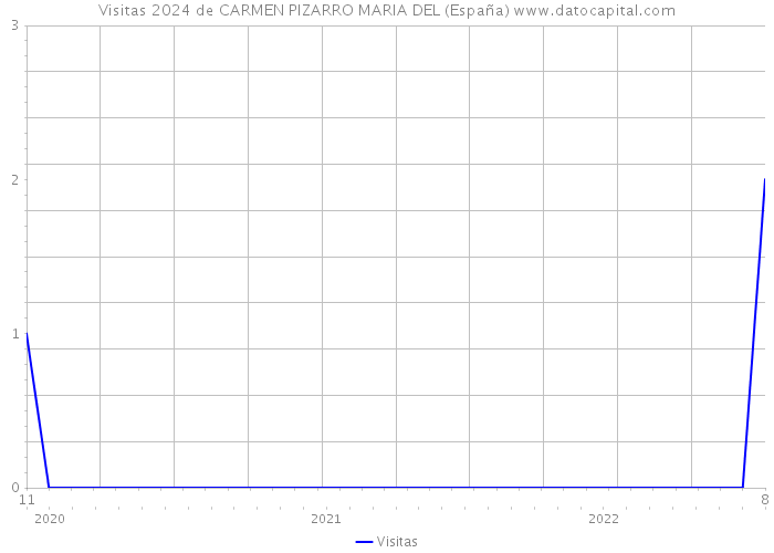 Visitas 2024 de CARMEN PIZARRO MARIA DEL (España) 