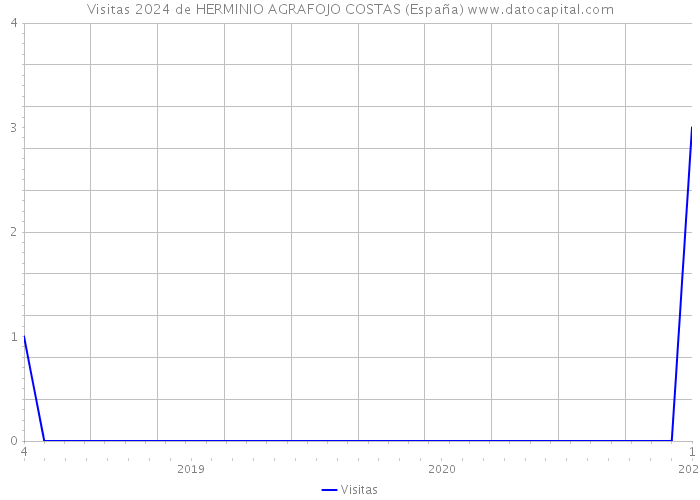 Visitas 2024 de HERMINIO AGRAFOJO COSTAS (España) 