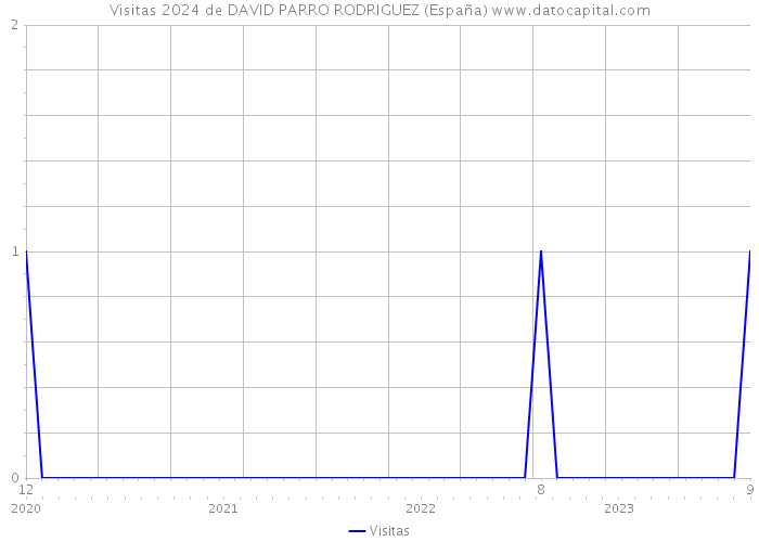 Visitas 2024 de DAVID PARRO RODRIGUEZ (España) 