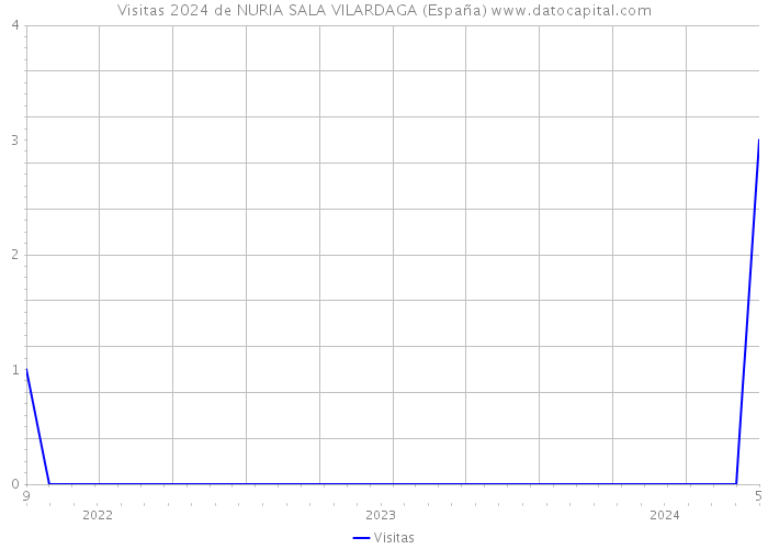 Visitas 2024 de NURIA SALA VILARDAGA (España) 