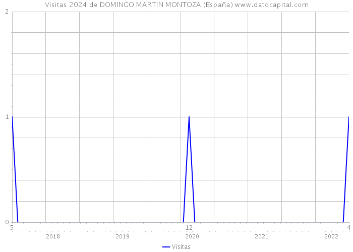 Visitas 2024 de DOMINGO MARTIN MONTOZA (España) 