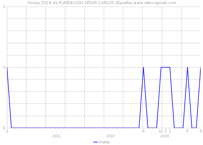 Visitas 2024 de FUNDACION CESAR CARLOS (España) 