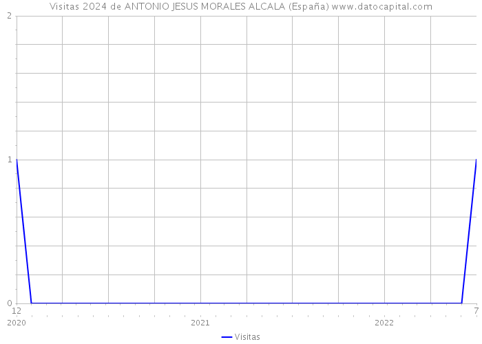 Visitas 2024 de ANTONIO JESUS MORALES ALCALA (España) 