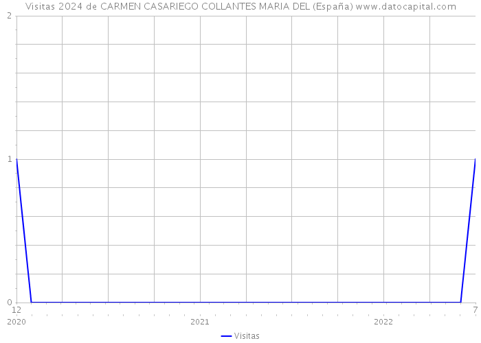 Visitas 2024 de CARMEN CASARIEGO COLLANTES MARIA DEL (España) 