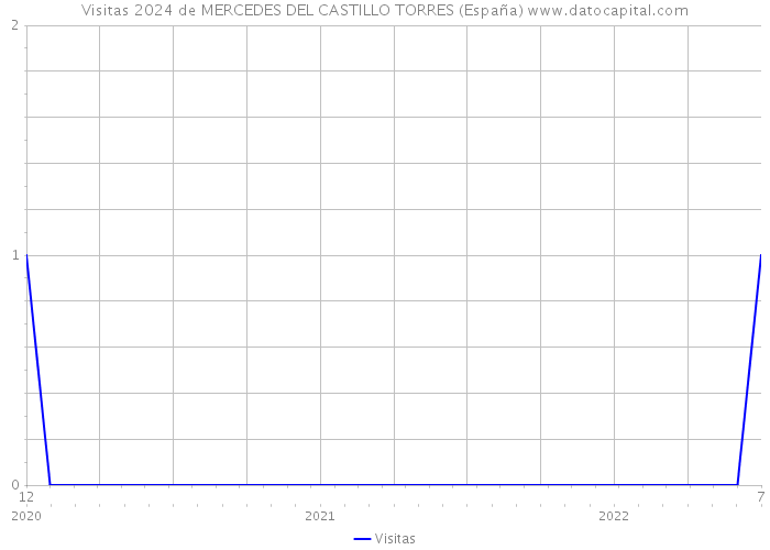 Visitas 2024 de MERCEDES DEL CASTILLO TORRES (España) 
