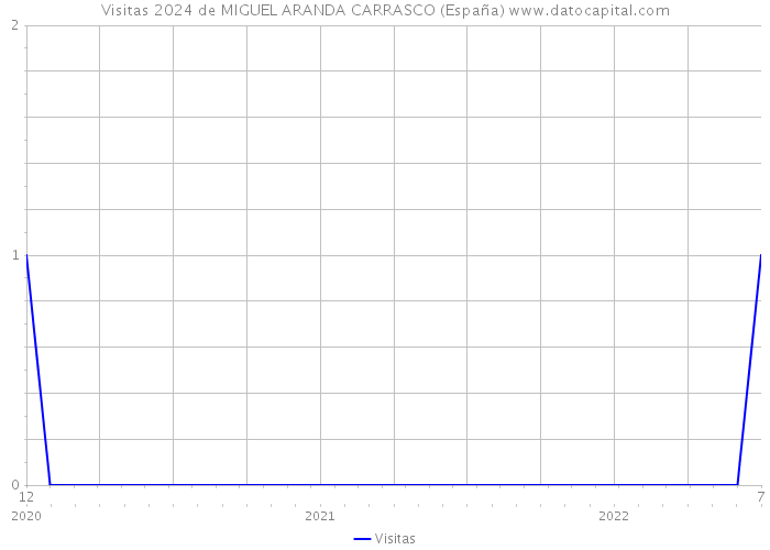 Visitas 2024 de MIGUEL ARANDA CARRASCO (España) 