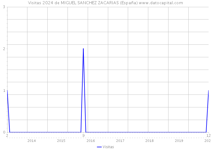Visitas 2024 de MIGUEL SANCHEZ ZACARIAS (España) 