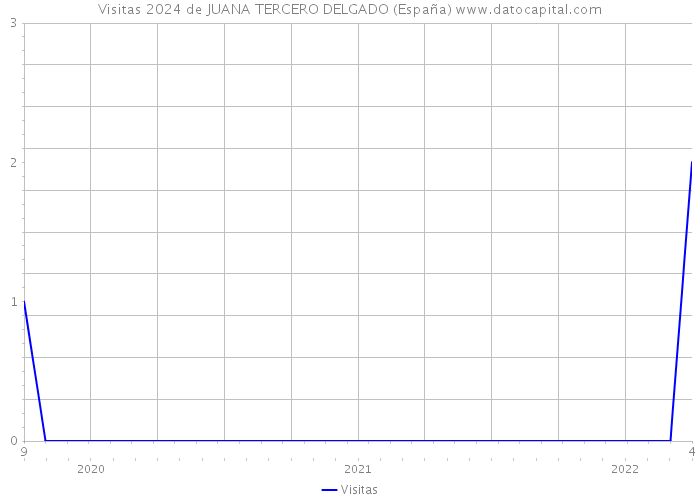 Visitas 2024 de JUANA TERCERO DELGADO (España) 