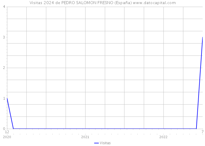 Visitas 2024 de PEDRO SALOMON FRESNO (España) 