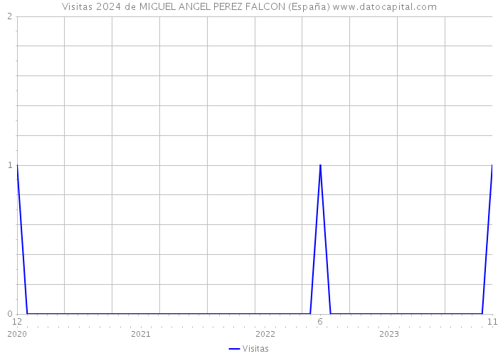Visitas 2024 de MIGUEL ANGEL PEREZ FALCON (España) 