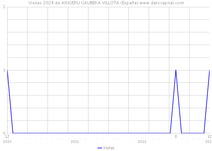Visitas 2024 de AINGERU GAUBEKA VILLOTA (España) 
