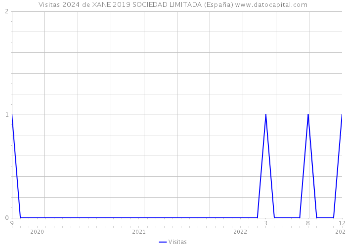 Visitas 2024 de XANE 2019 SOCIEDAD LIMITADA (España) 