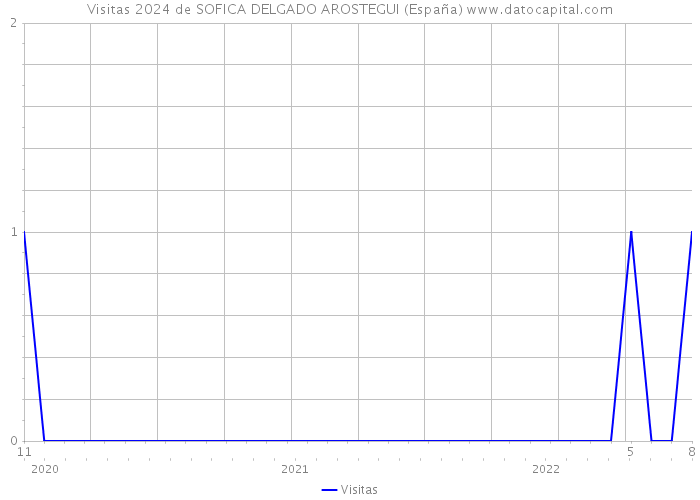 Visitas 2024 de SOFICA DELGADO AROSTEGUI (España) 